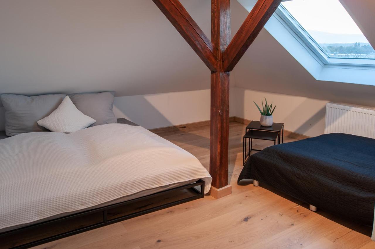 Appartement Grosse Familienfreundliche In Dresden